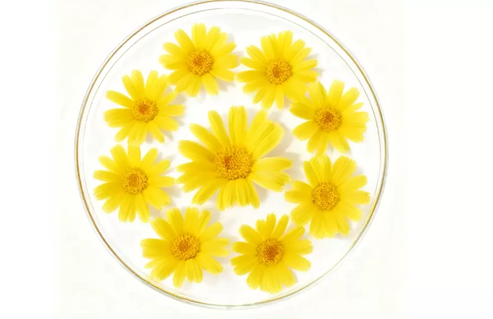 Sustainable Skincare with Biosynthetic Natural α-Bisabolol Sustainable Skincare with Biosynthetic Natural α-Bisabolol