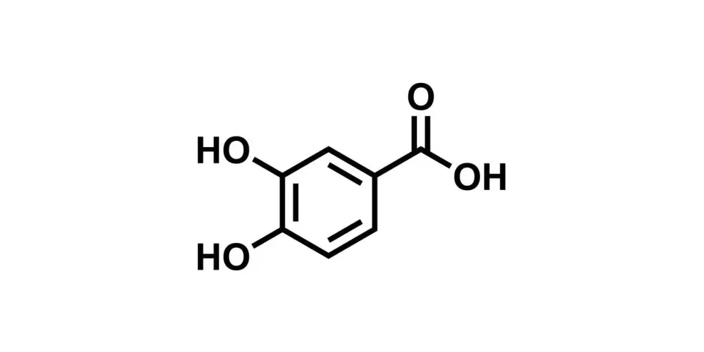 PROTOCATECHUIC ACID