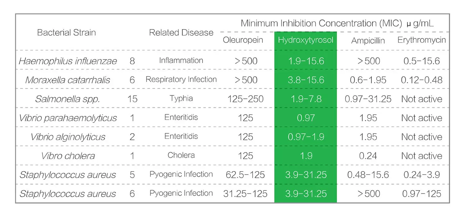 Antibacterial Hydroxytyrosol