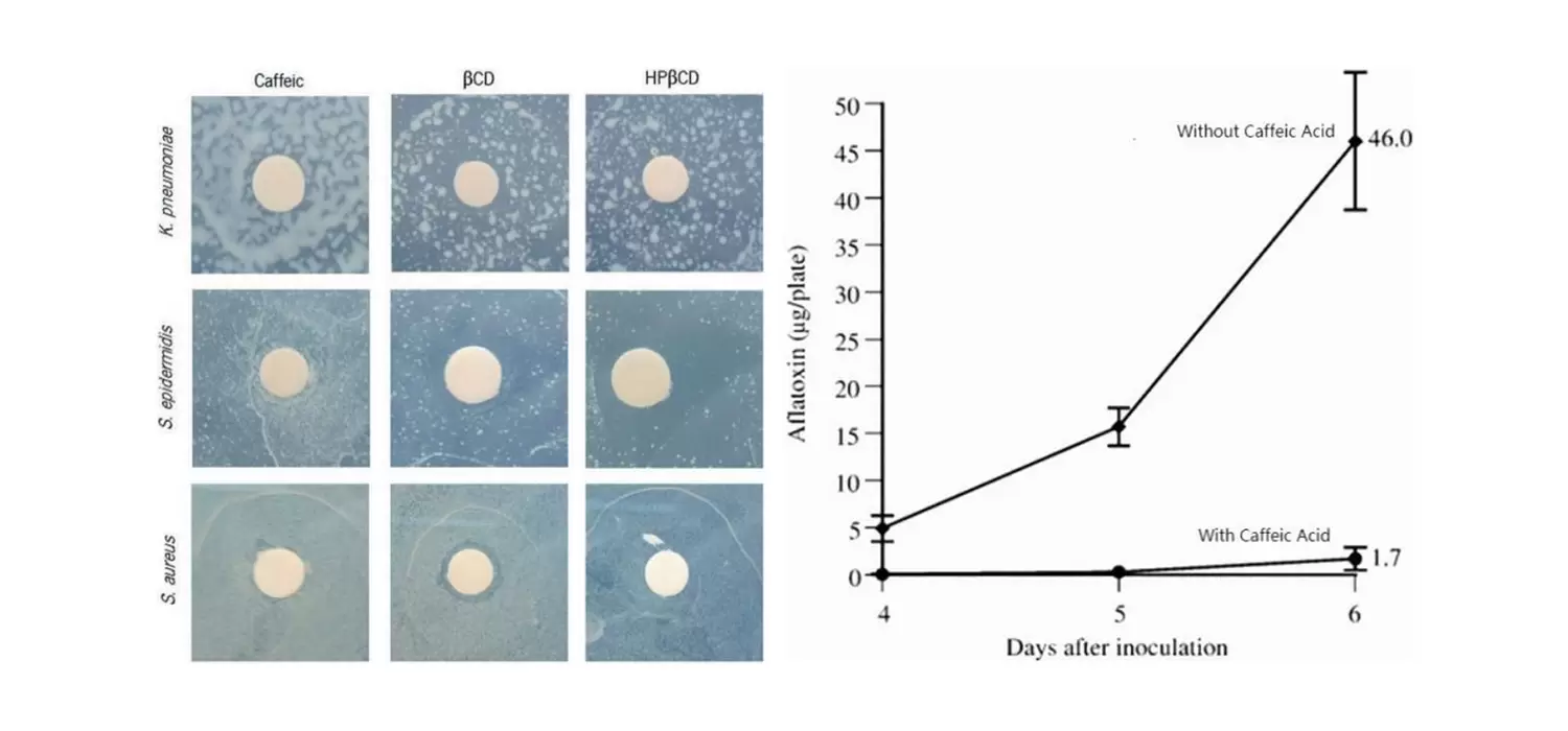 Antibacterial of Natural Phenolic Compound Caffeic Acid