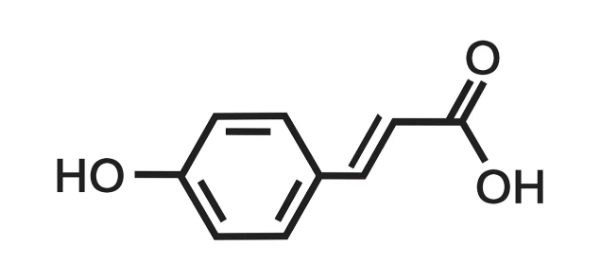 Natural Polyphenol p-Coumaric Acid