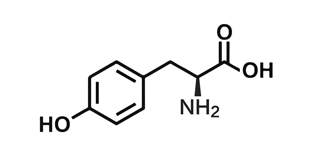 L-Tyrosine (CAS No. 60-18-4)